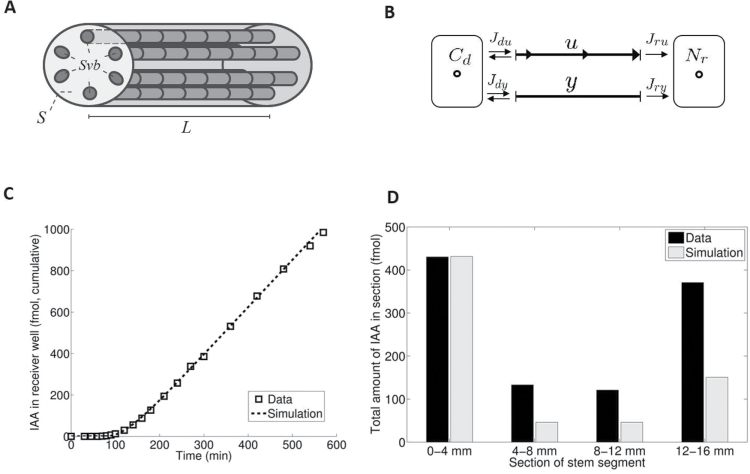 Fig. 3.