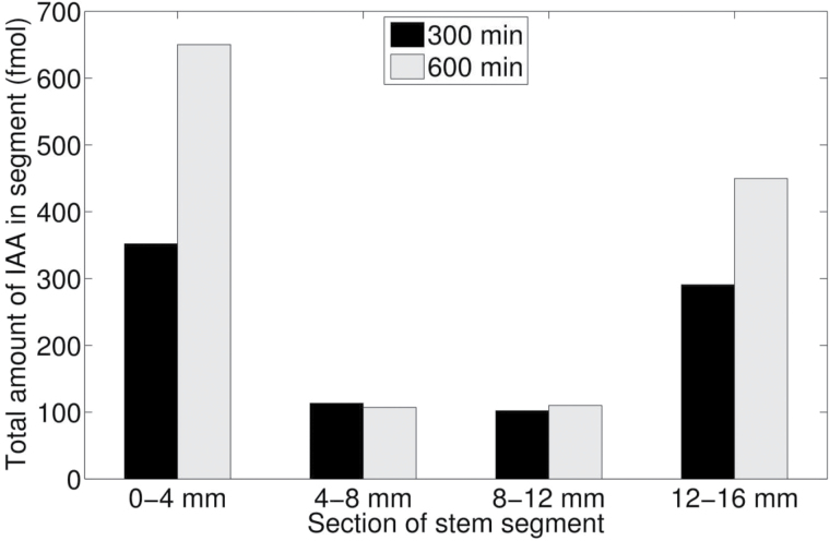 Fig. 10.