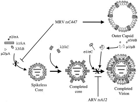 FIG. 4.