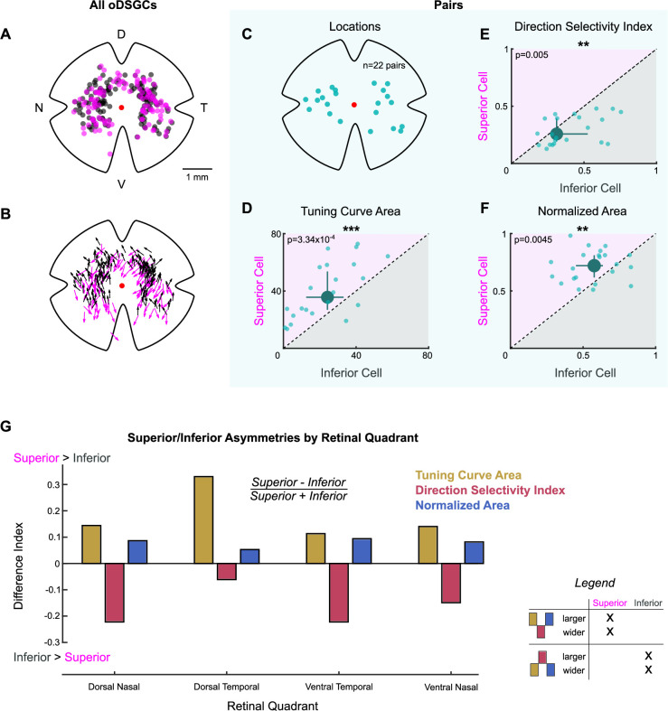 Figure 2—figure supplement 4.