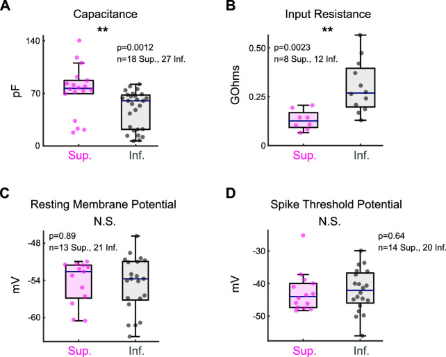 Figure 4—figure supplement 1.