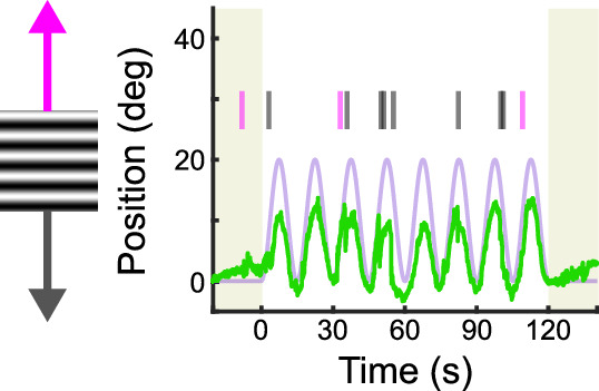 Figure 1—figure supplement 1.