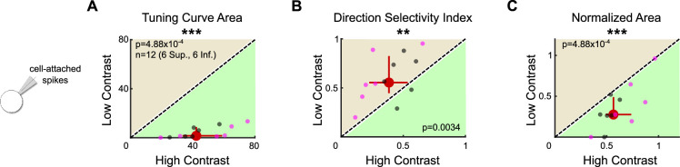 Figure 7—figure supplement 2.