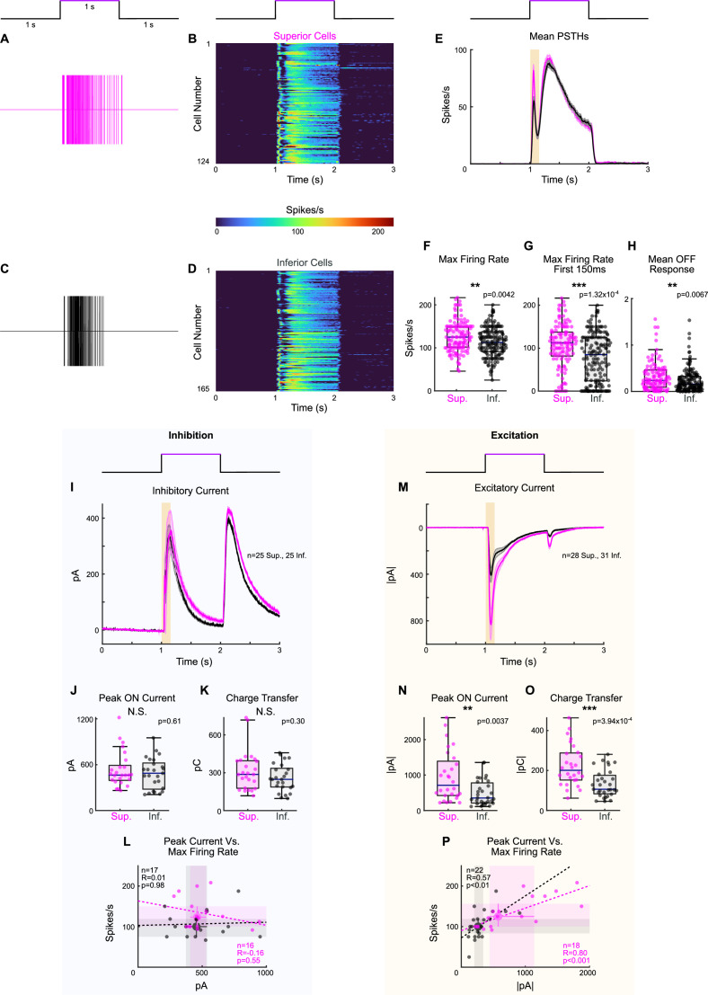 Figure 3—figure supplement 2.