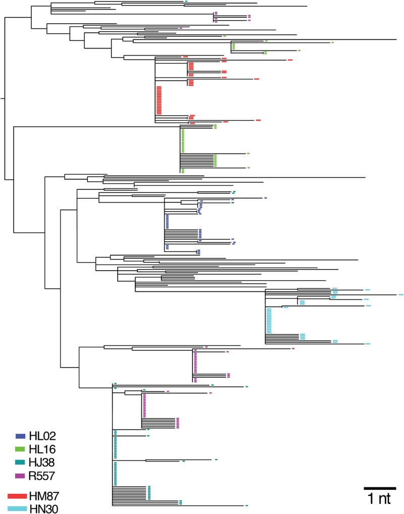 Fig 10