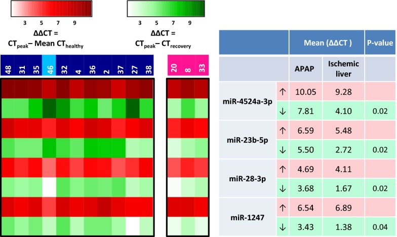 Fig. 4.