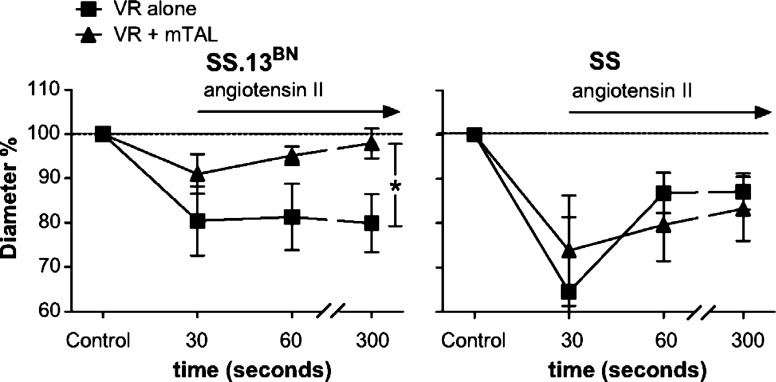 Fig. 11.