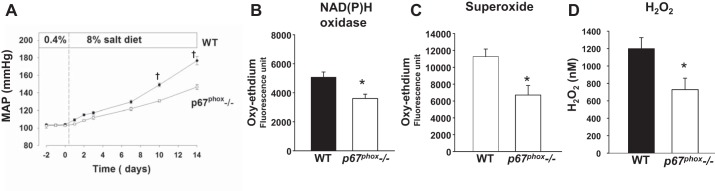 Fig. 10.