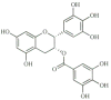 Fig. 13