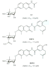 Fig. 8