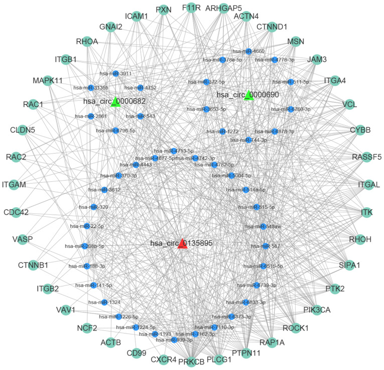 Figure 5