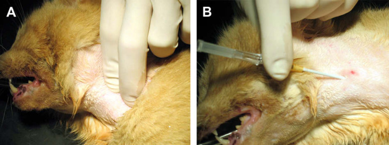 Fig 1.