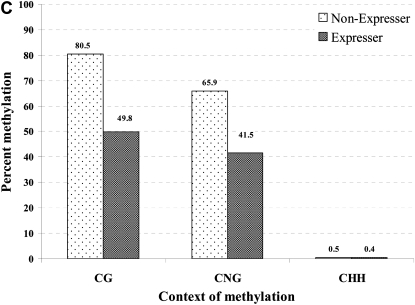 Figure 6.—