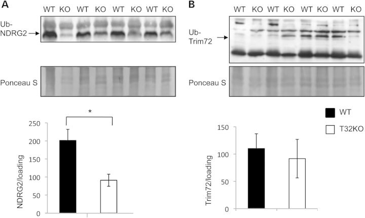 Figure 3.