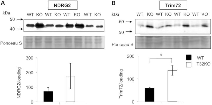 Figure 1.