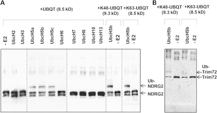 Figure 2.