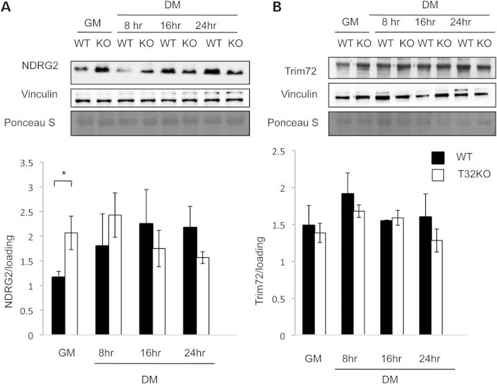 Figure 4.