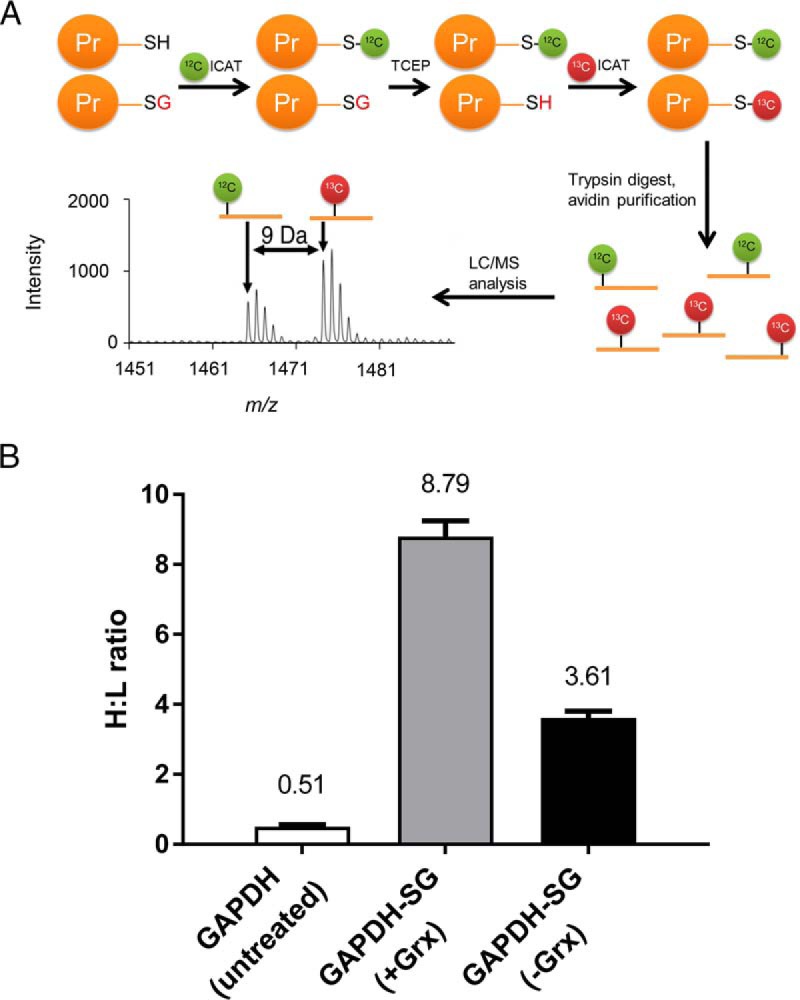 Fig. 3.