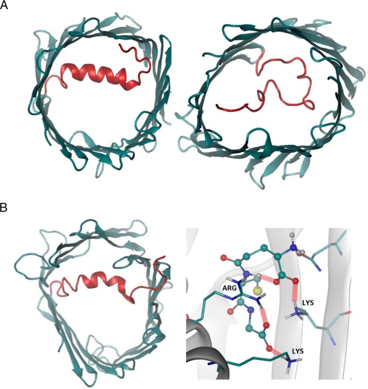 Fig. 8.