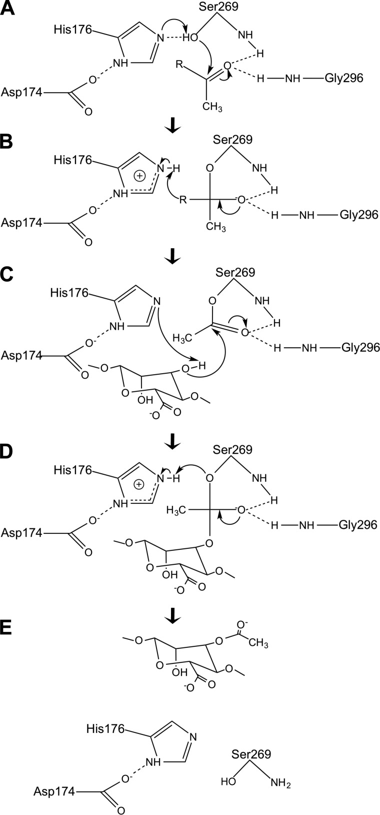 FIGURE 7.