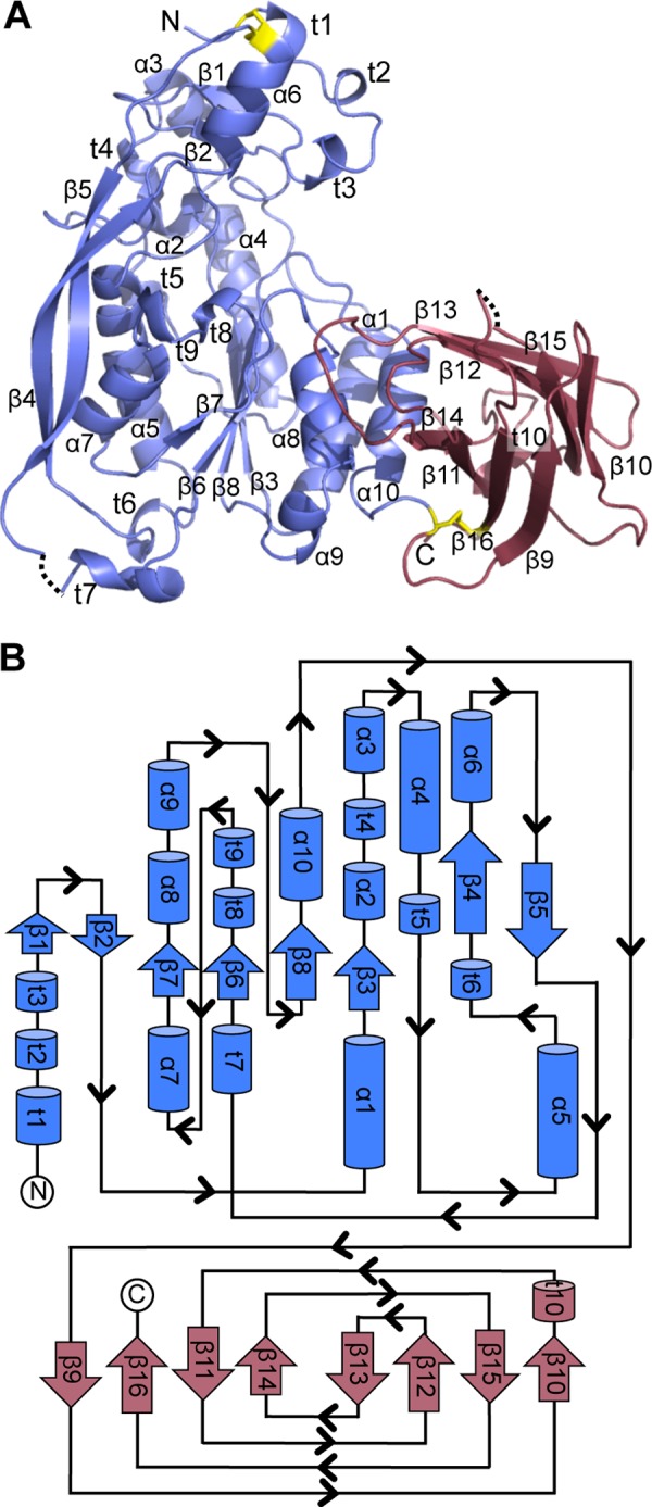 FIGURE 1.