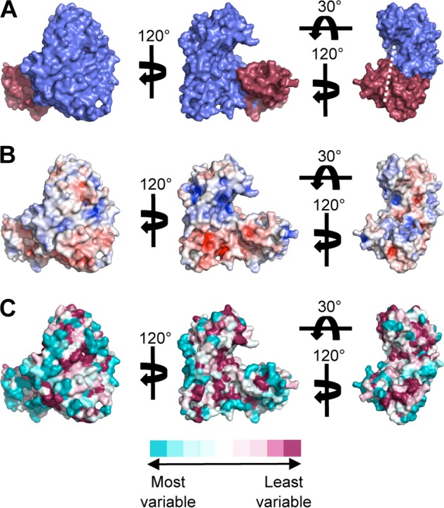 FIGURE 2.