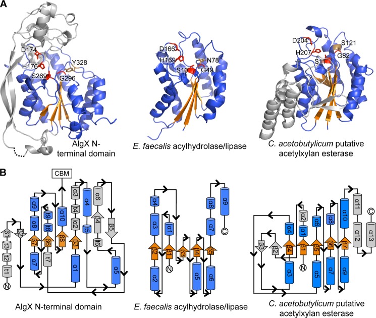 FIGURE 4.