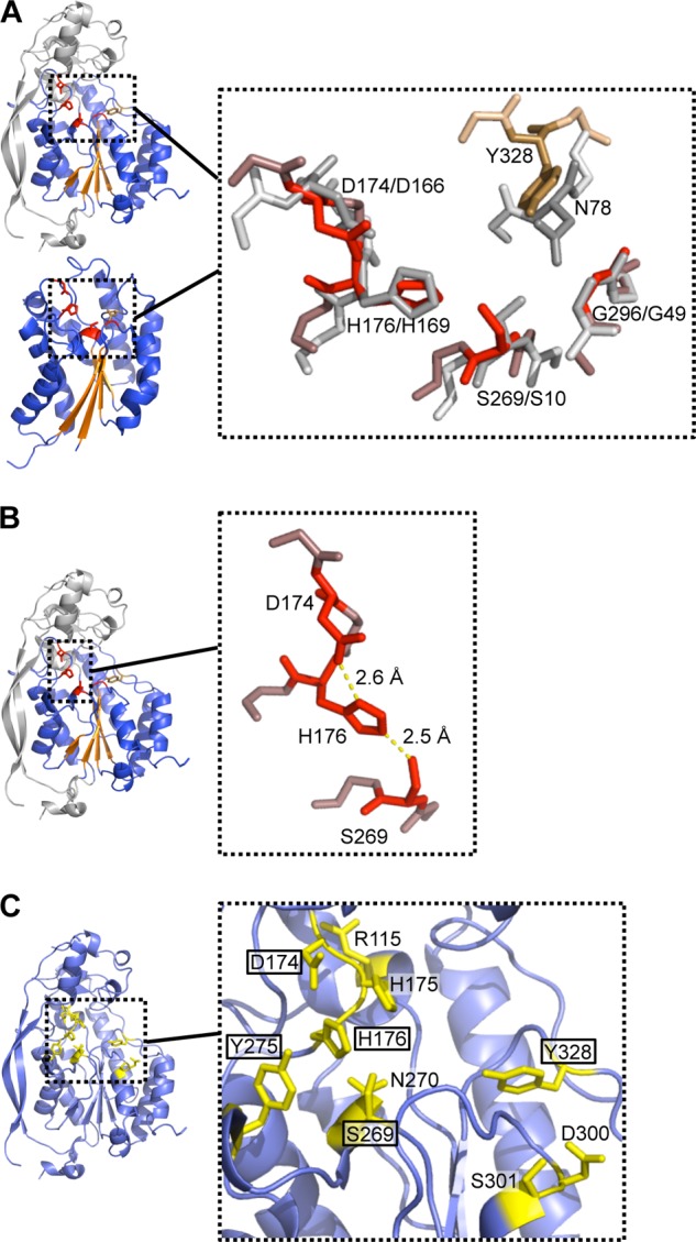 FIGURE 5.