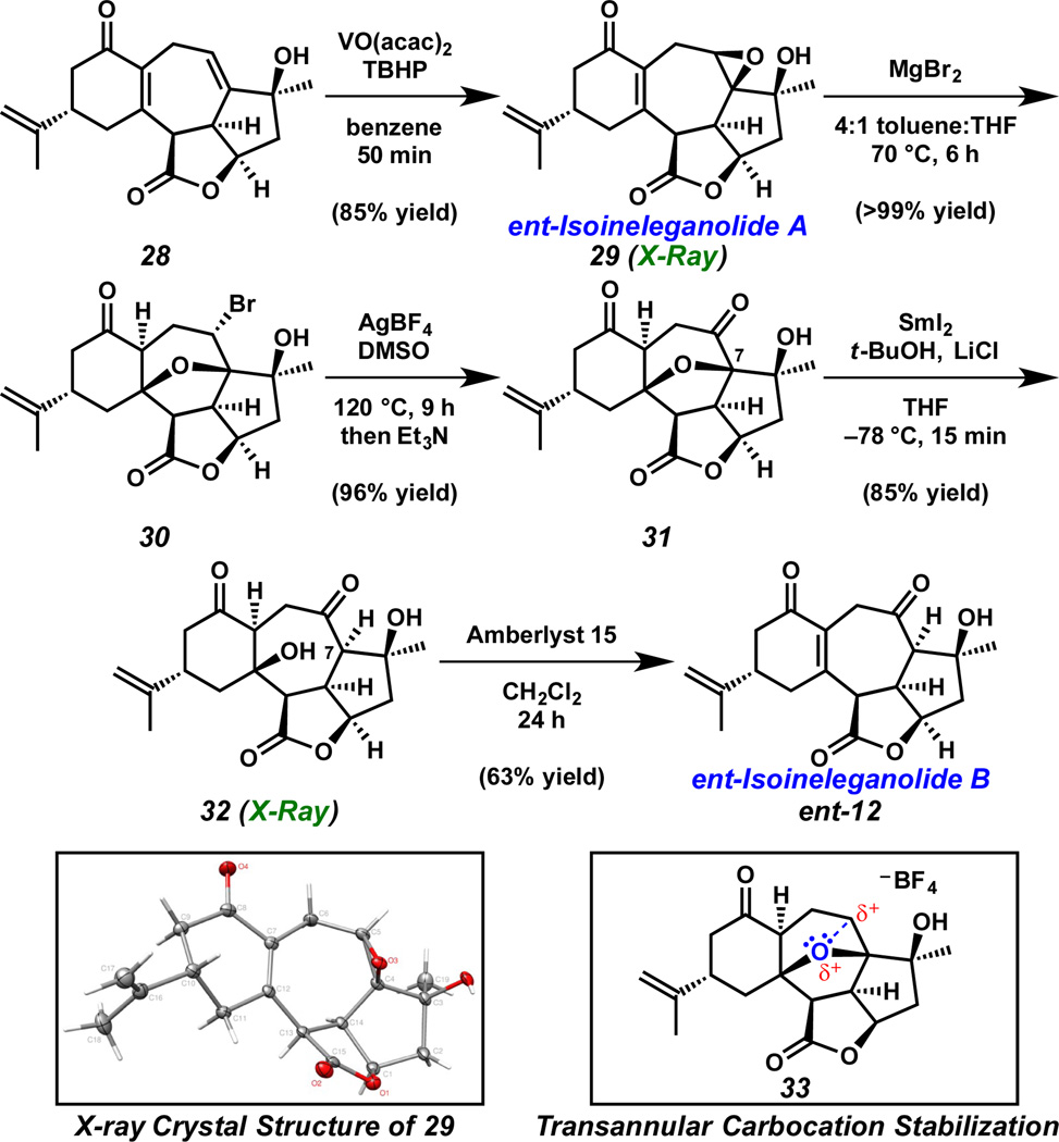 Scheme 5