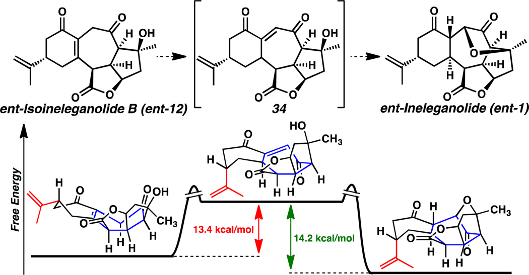 Scheme 6