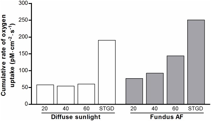 Fig 9