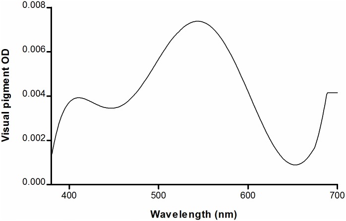 Fig 3