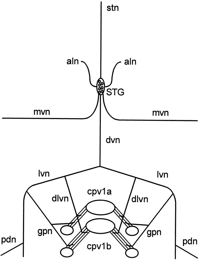 Fig. 2.