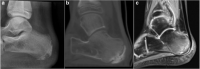 Figure 7.