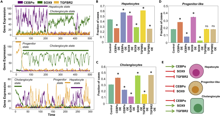 Figure 4