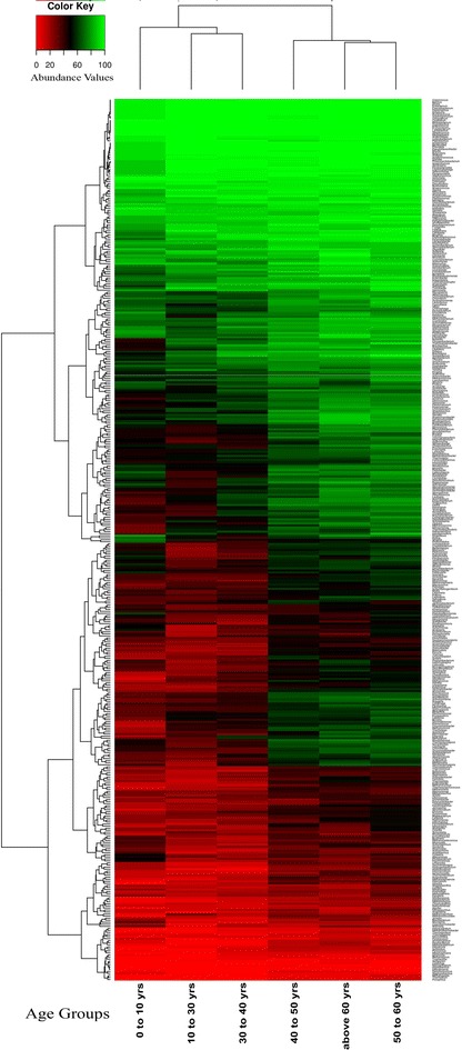 Fig. 7