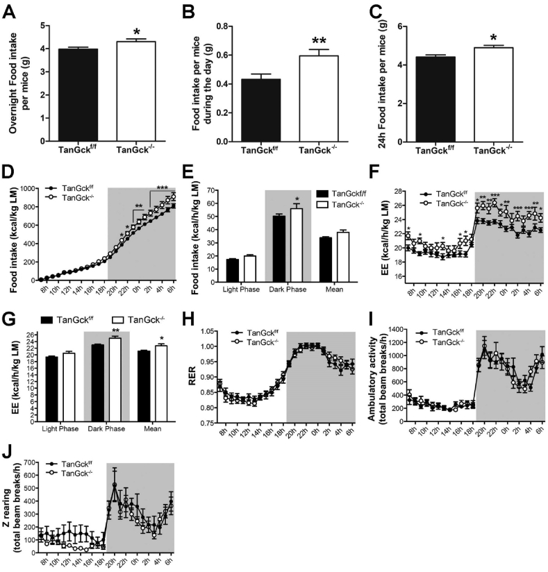 Figure 5