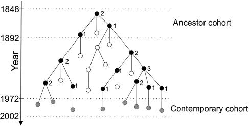 Figure  1