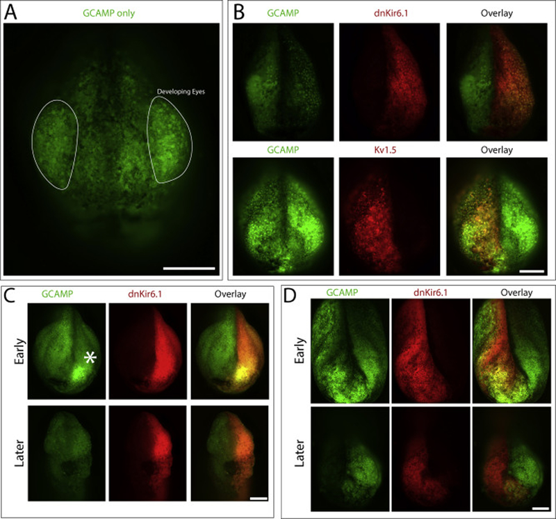 Figure 3: