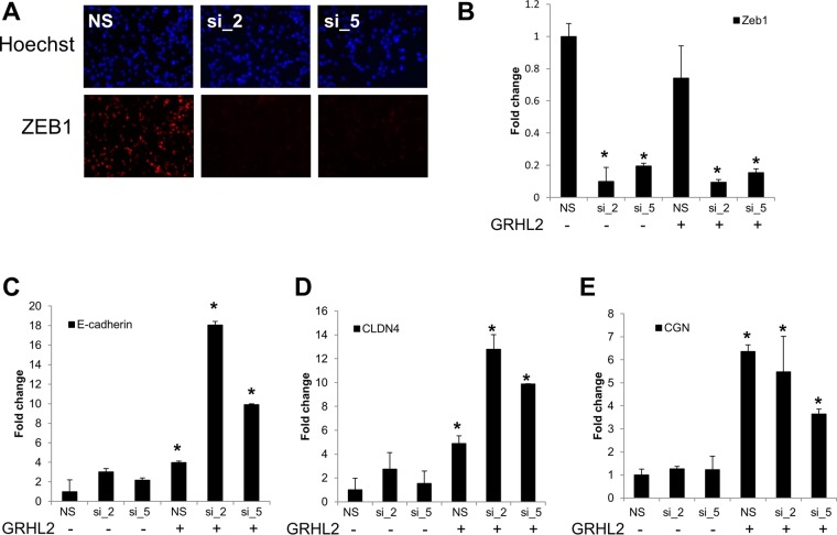 FIG 3