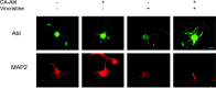 Figure 10.