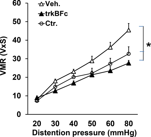 Fig. 2: