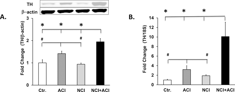 Fig.4.