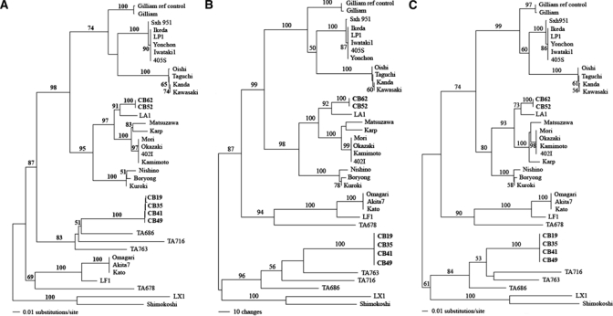 Figure 6.