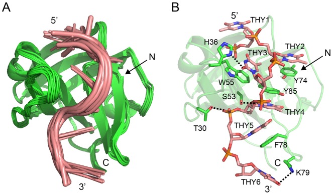 Figure 6.