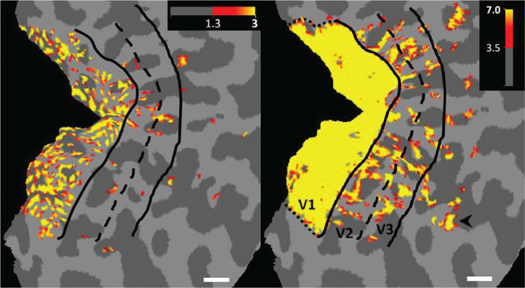 Figure 3: