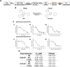 Fig. 10