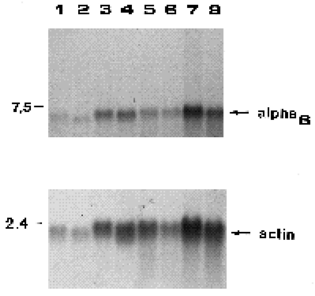 Fig. 9