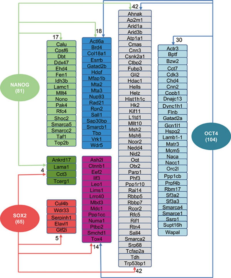 Figure 6