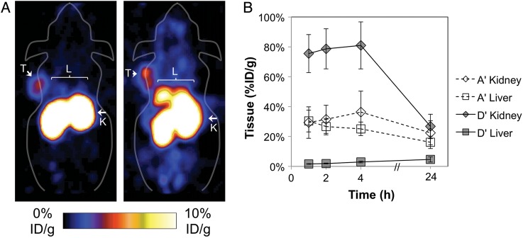 Fig. 1.